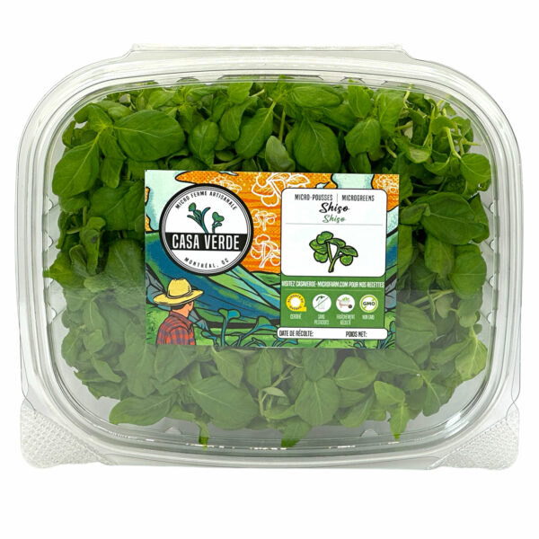 green-shiso-microgreens-japanese-shiso-leaf-parilla-canada-montreal-hero-w