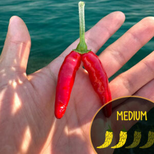 goat-weed-pepper-seeds-casa-verde-microfarm-hero