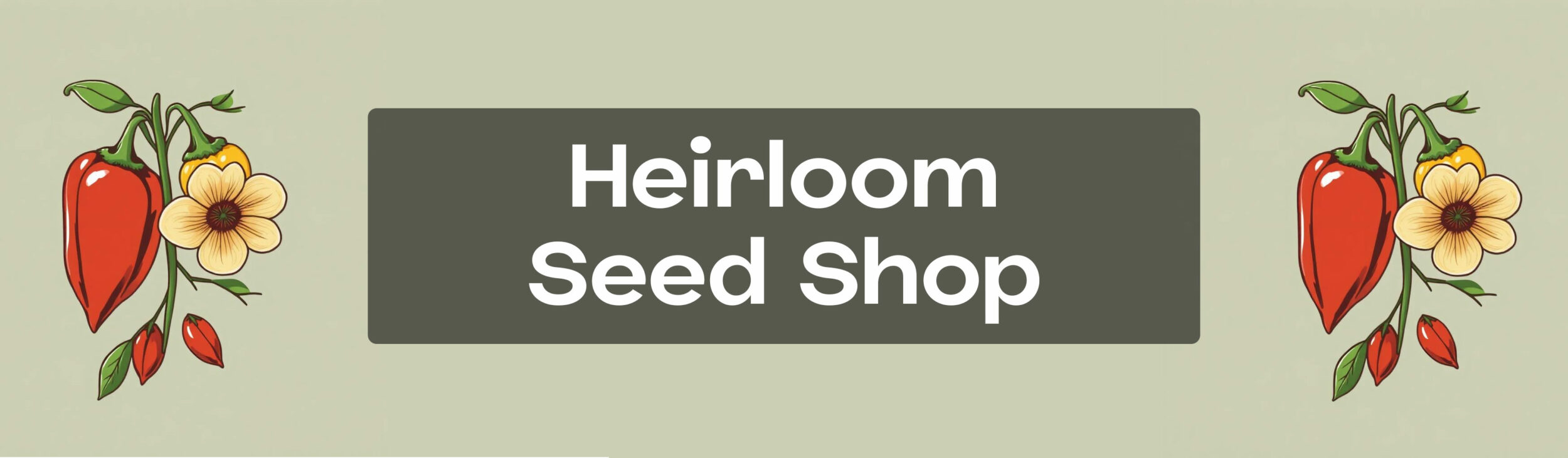 seed-shop-banner