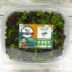 KX-1-kale-microgreens-baby-green-stage-chou-micropousses-hero-1