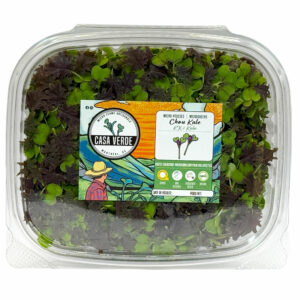 KX-1-kale-microgreens-baby-green-stage-chou-micropousses-hero