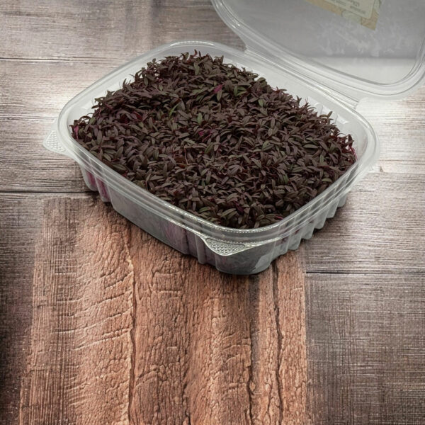 amaranth-microgreens-micropousses-3