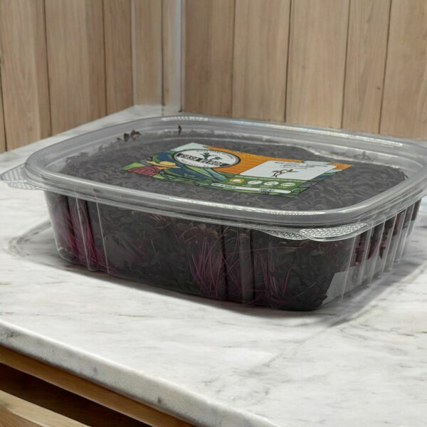 amaranth-microgreens-micropousses-5