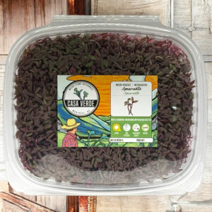 amaranth-microgreens-micropousses-hero-1