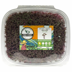 amaranth-microgreens-micropousses-hero
