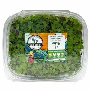 bi-colored-basil-basilique-micropousses-microgreens-hero
