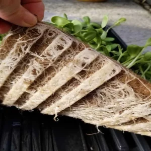 microgreen-jute-mat-grow-mat-10x20-roots
