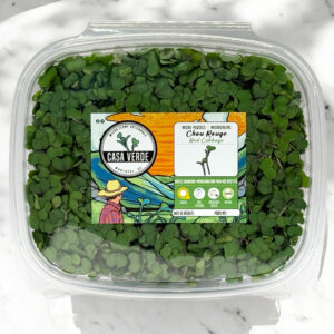 red-cabbage-microgreens-chou-rouge-micropousses-hero-1