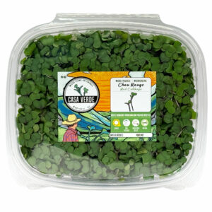 red-cabbage-microgreens-chou-rouge-micropousses-hero