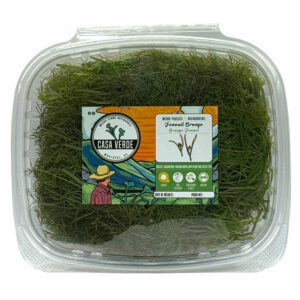 bronze-fennel-microgreens