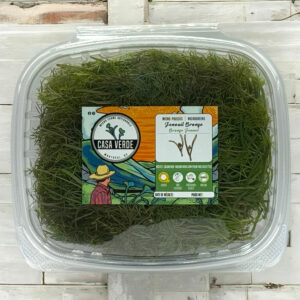 bronze-fennel-microgreens-hero