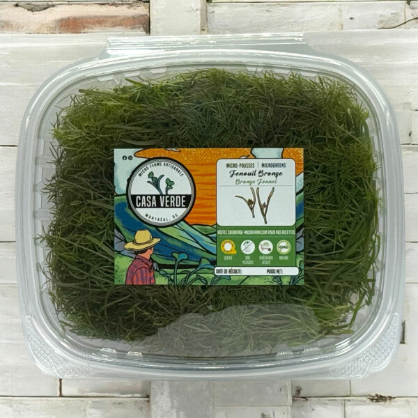 bronze-fennel-microgreens-hero