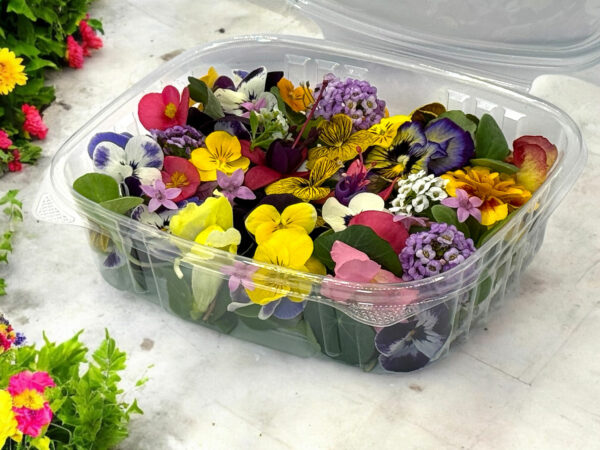 mixed-edible-flowers-pack-casa-verde-microfarm-1