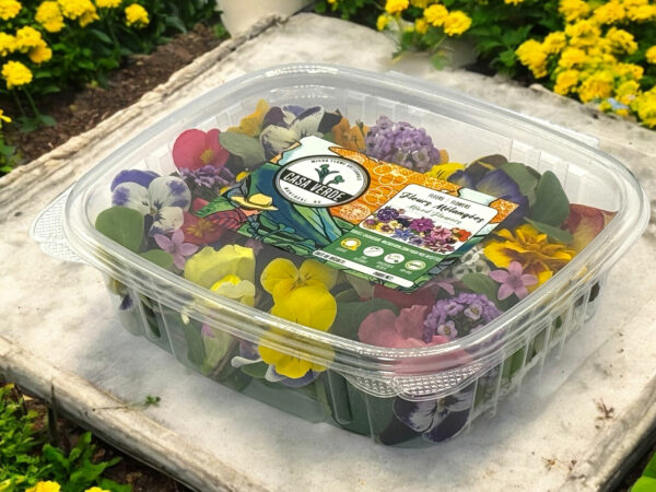 mixed-edible-flowers-pack-casa-verde-microfarm-2
