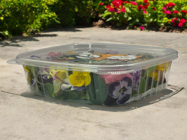 mixed-edible-flowers-pack-casa-verde-microfarm-3