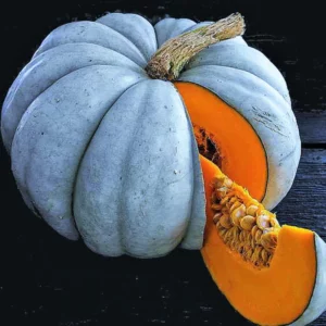 blue-pumkin-seeds-heirloom-chef-cooking-1