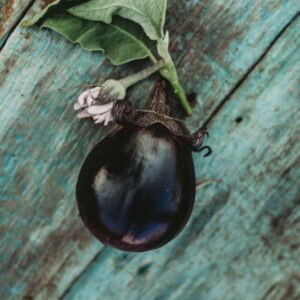 mitoyo-eggplant-japanese