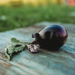 mitoyo-japanese-eggplant-seeds-39664096772345
