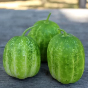 richmond-apple-cumber-seeds-1