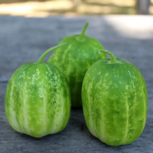 richmond-apple-cumber-seeds-1