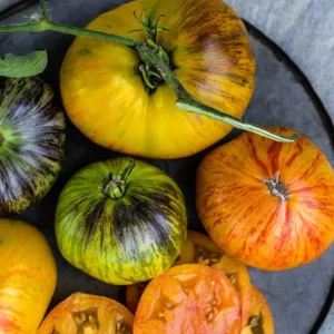tomato-alices-dream-seeds-heirloom